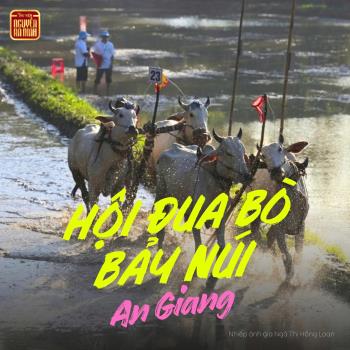 TRIỂN LÃM ẢNH CHỦ ĐỀ:  ĐẶC SẮC LỄ HỘI ĐUA BÒ  BẢY NÚI